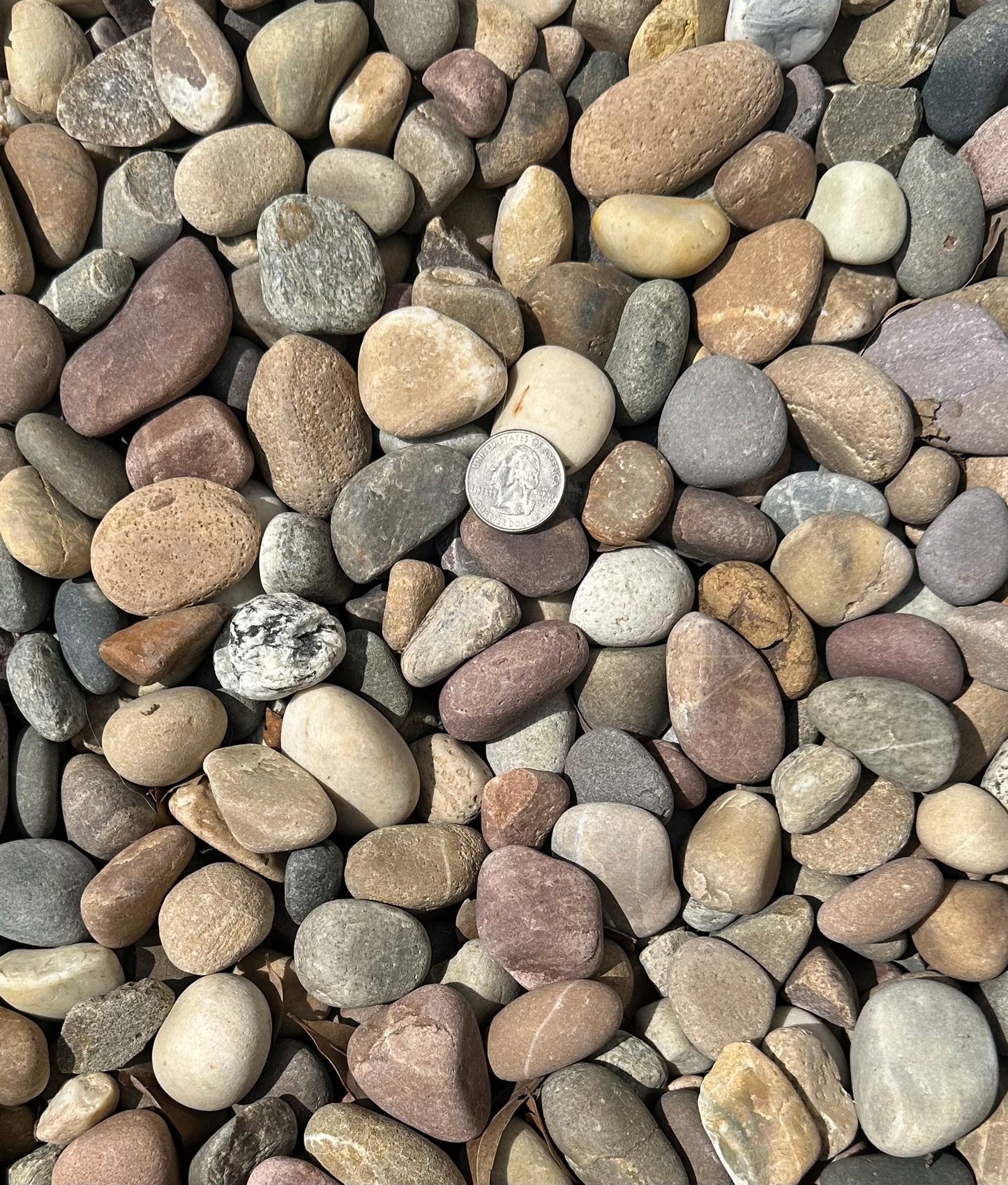 Amazon Mixed Pebble
