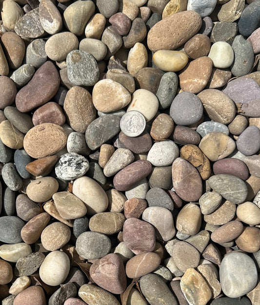 Amazon Mixed Pebble